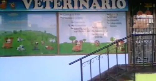 COLSULTORIO MEDICO VETERINARIO BOGOTÁ COLSULTORIO MEDICO VETERINARIO BOGOTÁ